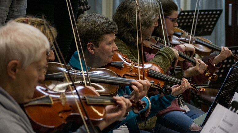 violinists undefinedviolinists