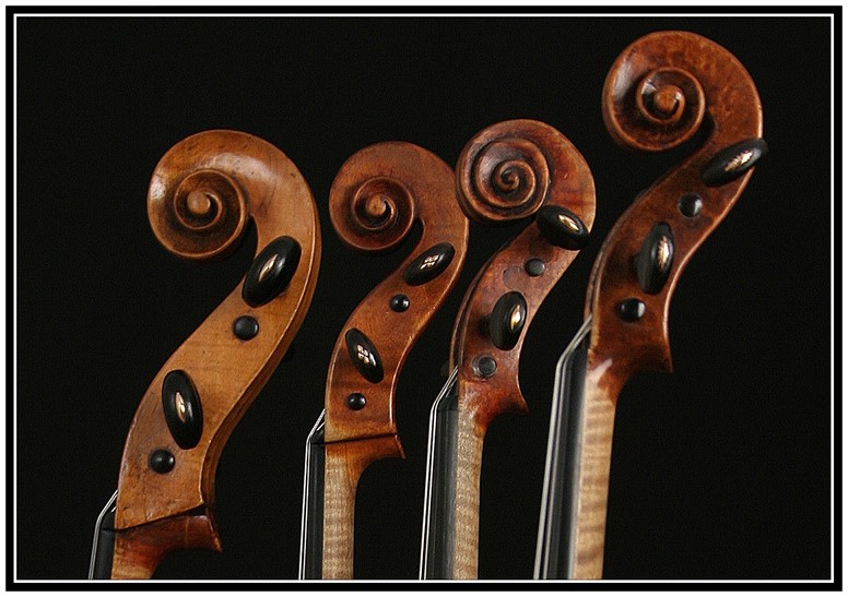 Cover picture for Maggini 2023 undefinedCover picture for Maggini 2023