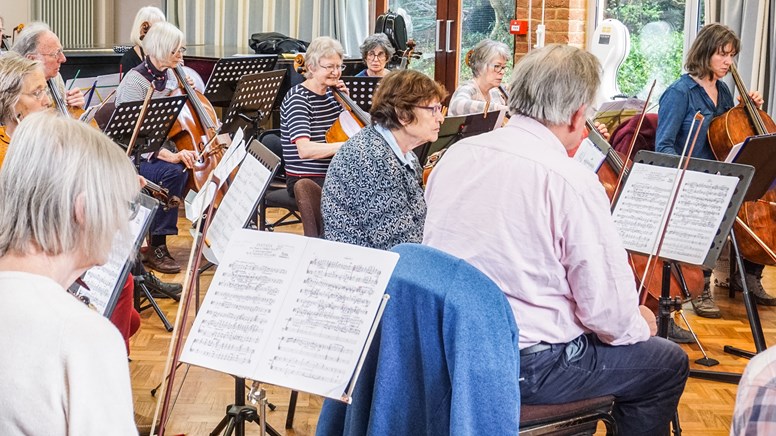 Musicians playing with the tedesca quartet undefinedMusicians playing with the tedesca quartet